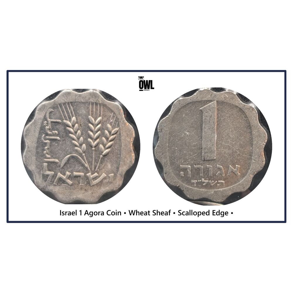 Israel 1 Agora Coin • Wheat Sheaf • Scalloped Edge • Circulated